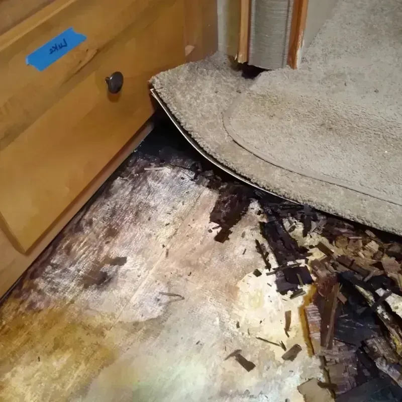 Wood Floor Water Damage in Monmouth Beach, NJ